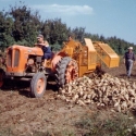 11. Bietol Unik trainata 1964 Testoni cammina dietro