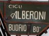 foto-n-22-alberoni