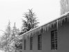 15-neve