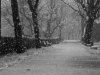 23-neve