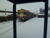 32-neve