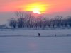 41-neve