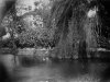foto-n-13-la-romantica